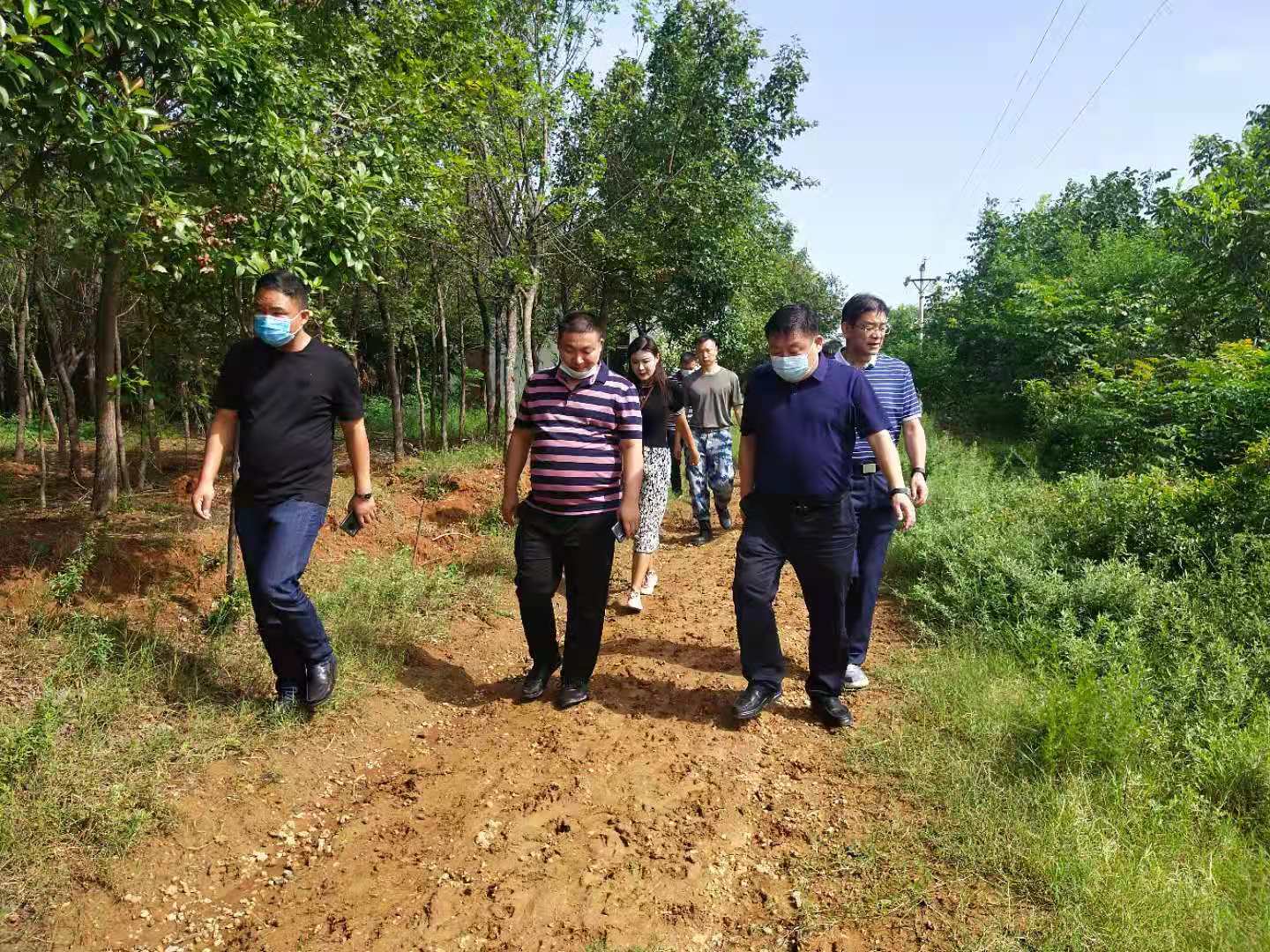 市政府副秘书长张捍卫一行到科技园街道毕沟社区指导乡村振兴工作